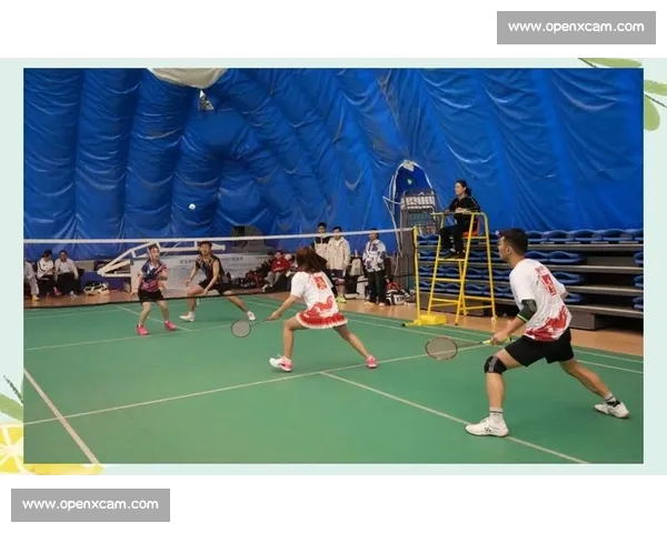 羽毛球比赛比分解析与实时更新技巧，提升观看体验和竞技水平